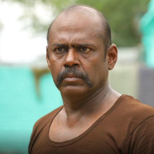 Pasupathy - Bison